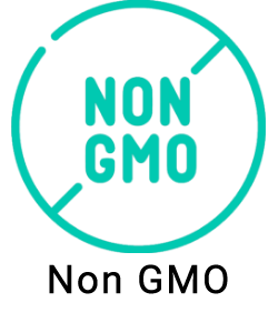 nogmo 1